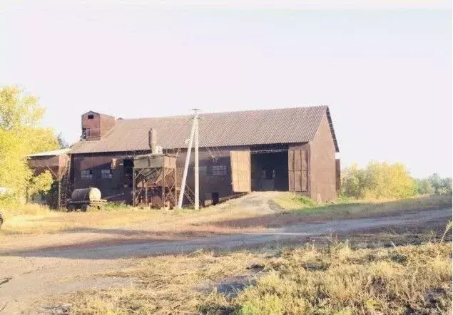 Производственное помещение в Алтайский край, с. Родино ул. Ленина, 8 ... - Фото 2
