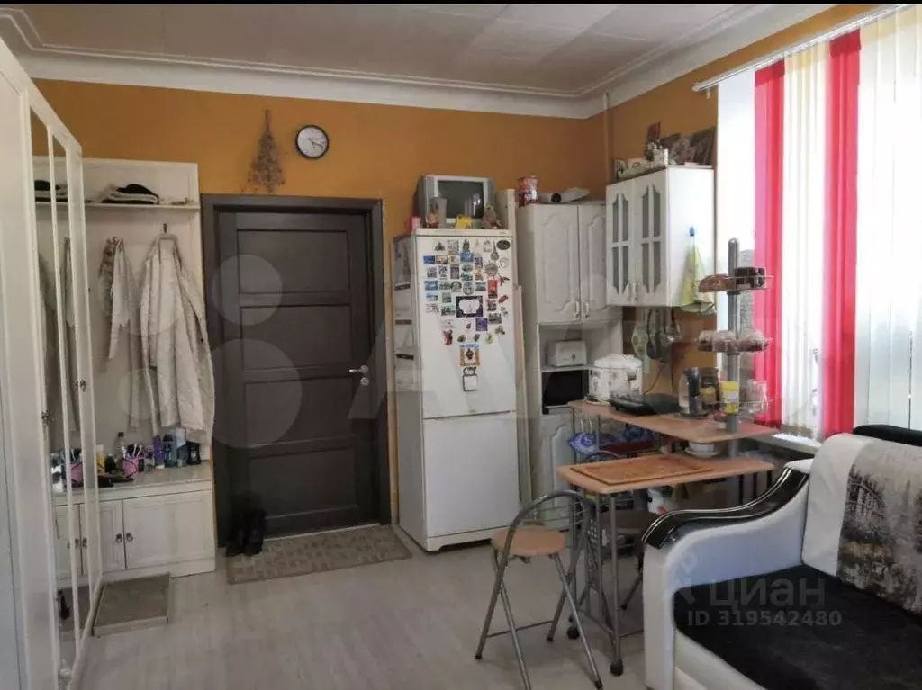 Студия Нижегородская область, Нижний Новгород ул. Пушкина, 38 (17.0 м) - Фото 0