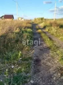 Участок в Алтай, Майминский район, с. Подгорное Зеленая ул., 24 (15.0 ... - Фото 1