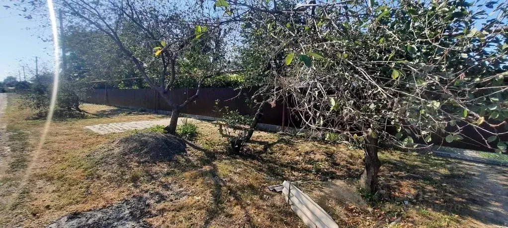 Участок в Краснодарский край, Динской район, Нововеличковское с/пос, ... - Фото 1