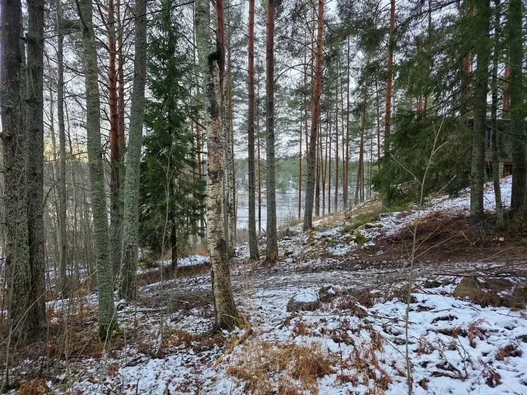 Участок в Карелия, Лахденпохский муниципальный округ, пос. Терваярви ... - Фото 2
