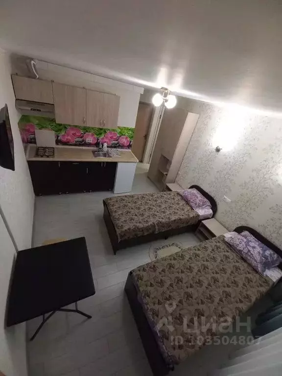Студия Краснодарский край, Сочи пос. Лоо, ул. Грушевая, 4 (17.0 м) - Фото 1
