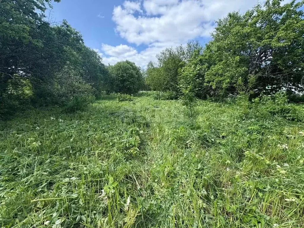 Участок в Ярославская область, Ростовский муниципальный округ, д. ... - Фото 1