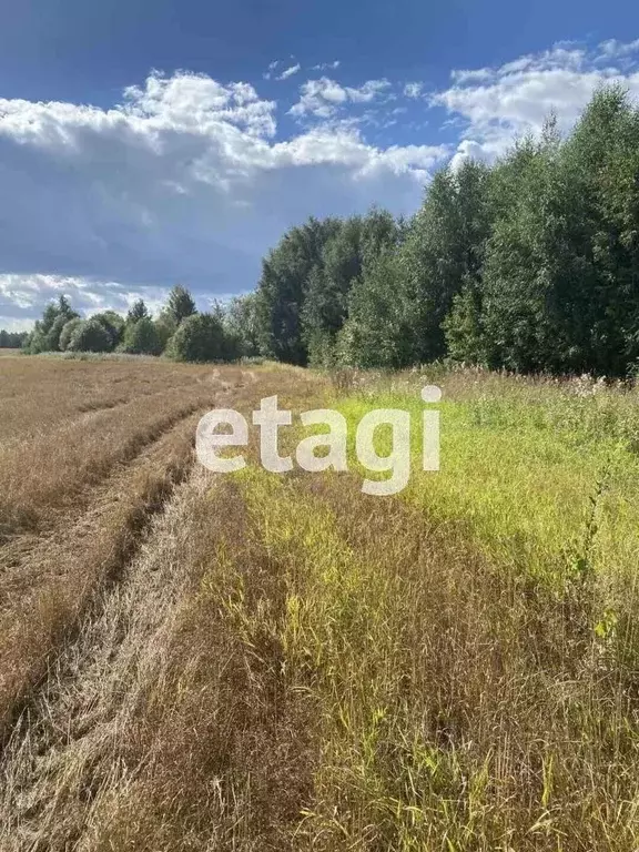 Участок в Вологодская область, Усть-Кубинский муниципальный округ, д. ... - Фото 1
