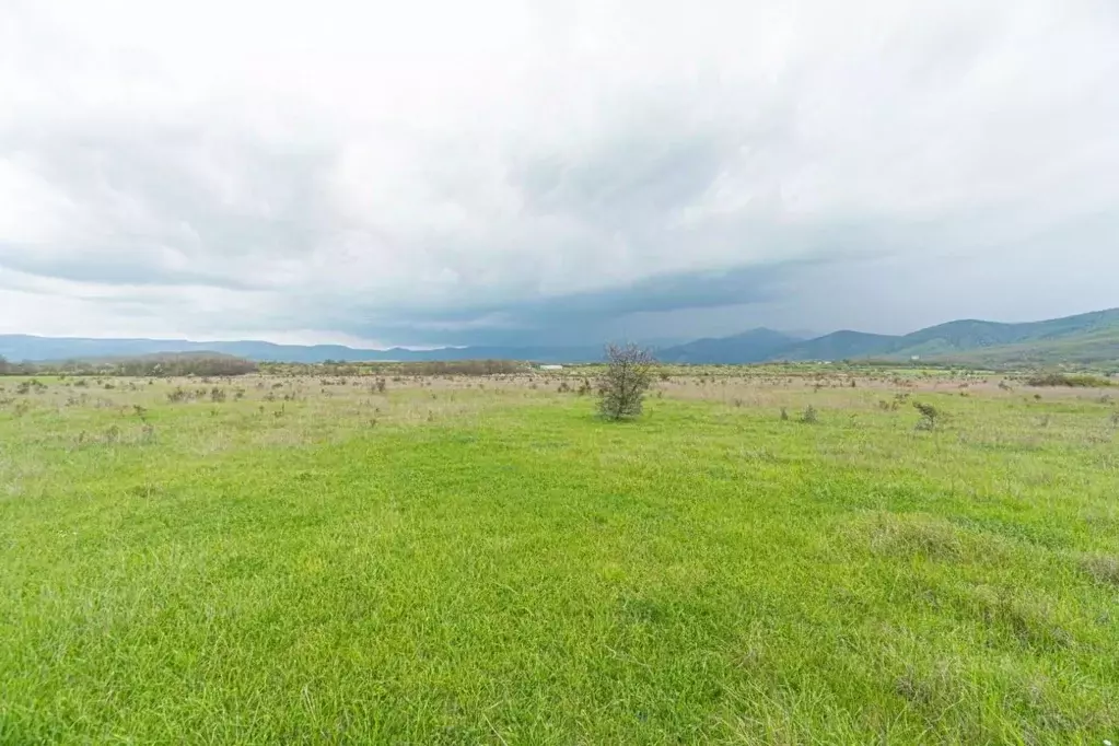 Участок в Севастополь с. Орлиное,  (10.0 сот.) - Фото 1