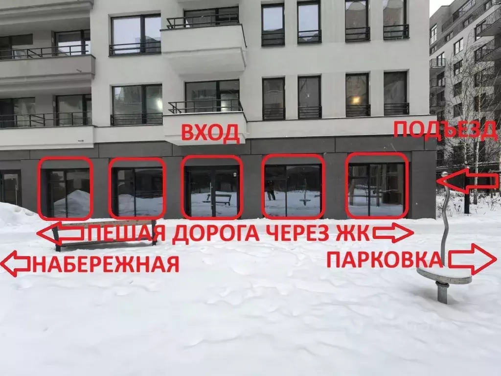 Помещение свободного назначения в Новосибирская область, Новосибирск ... - Фото 2