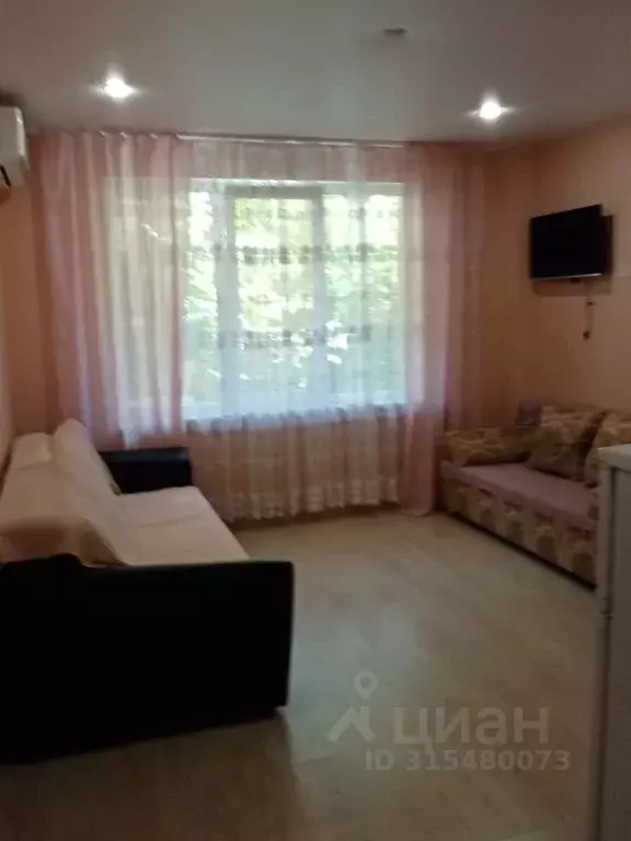 Студия Краснодарский край, Туапсинский муниципальный округ, с. ... - Фото 0