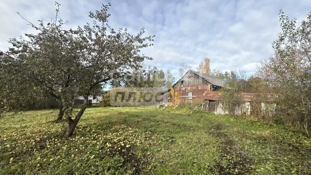 Участок в Псковская область, Псковский район, Логозовская волость, д. ... - Фото 1