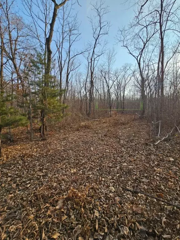 Участок в Приморский край, Владивосток ул. Лесопитомник, 3А (7.16 ... - Фото 2