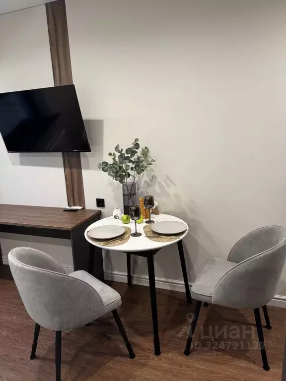 Студия Санкт-Петербург Херсонский проезд, 6 (24.0 м) - Фото 2