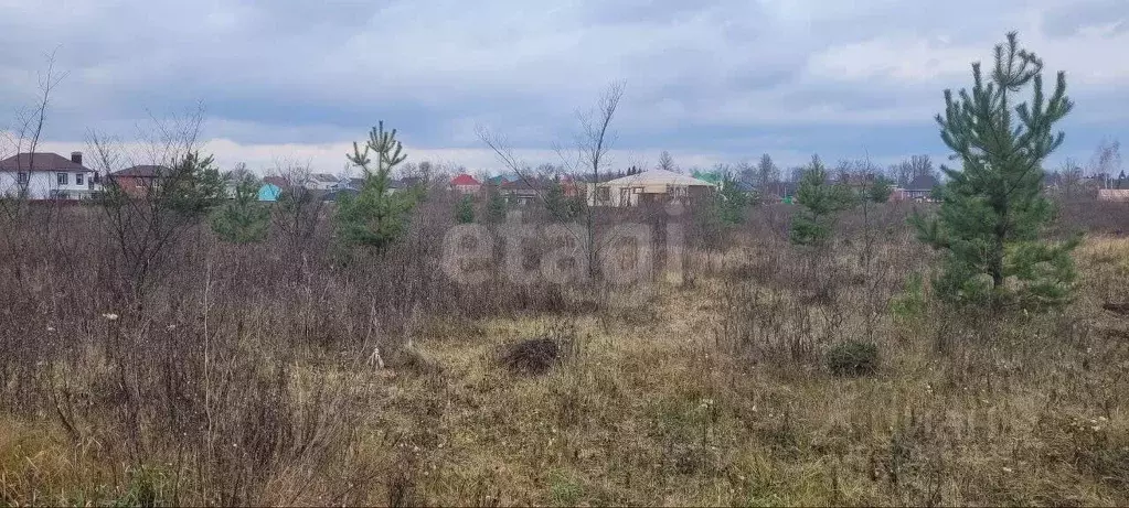 Участок в Курская область, Курский район, Нижнемедведицкий сельсовет, ... - Фото 1