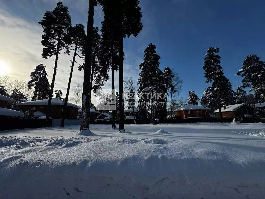 Продается участок в г. Пушкино - Фото 2