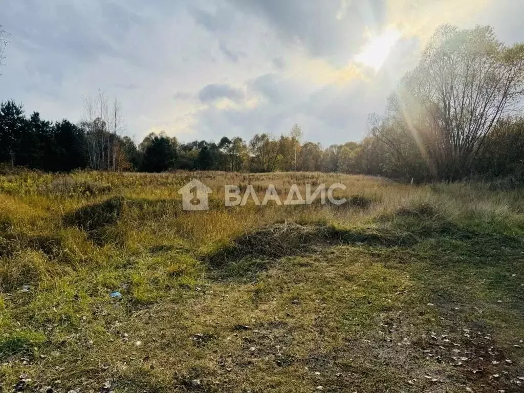 Участок в Пензенская область, Бессоновский район, пос. Подлесный ... - Фото 0