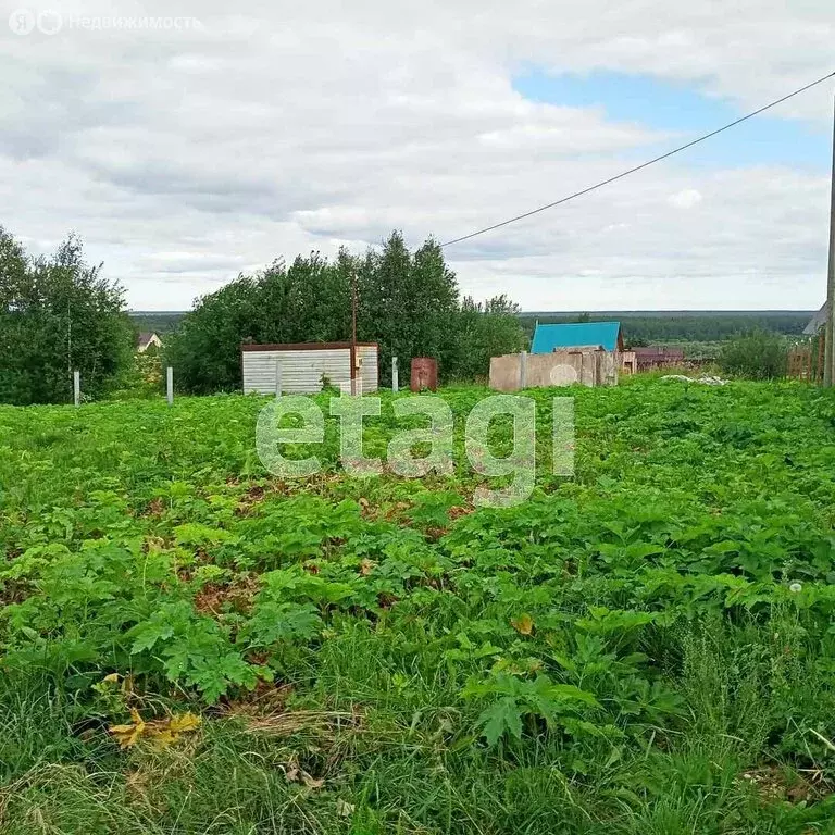 Участок в Республика Коми, муниципальный район Сыктывдинский, ... - Фото 1