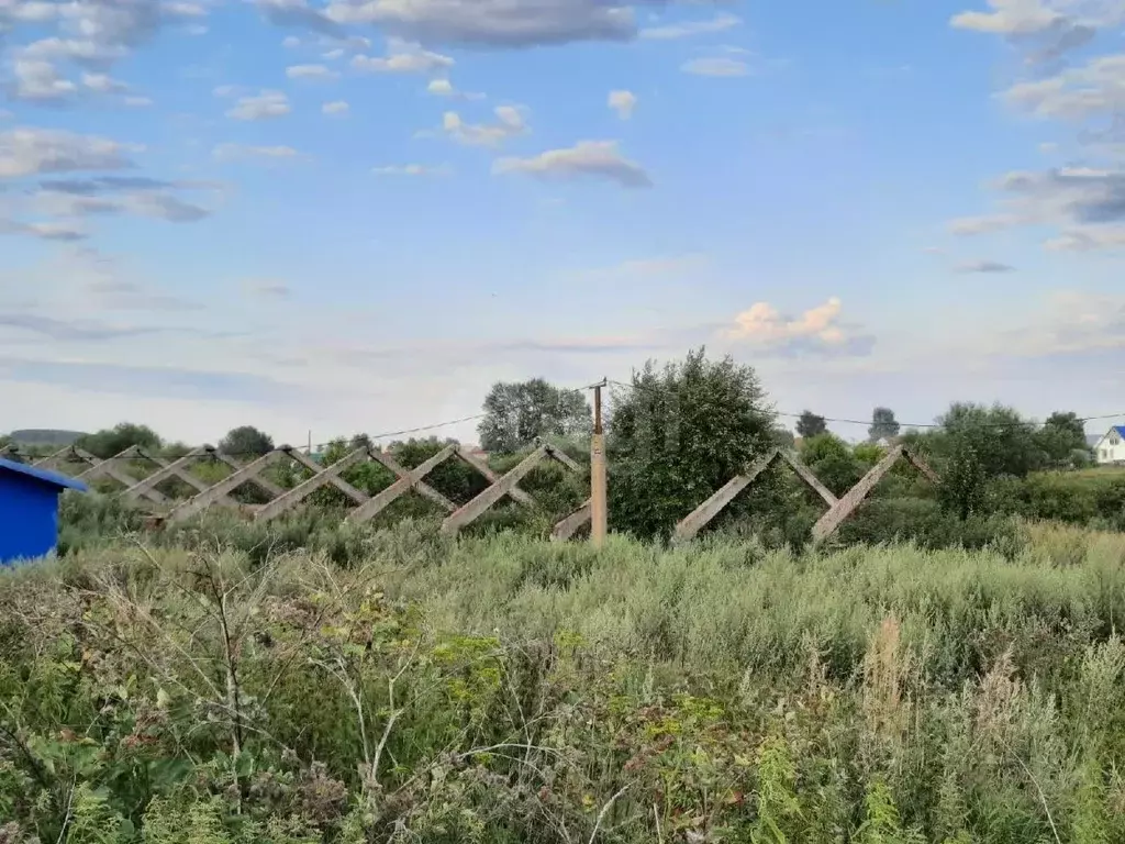 Участок в Мордовия, Лямбирский район, Пензятское с/пос, с. Пензятка  ... - Фото 2