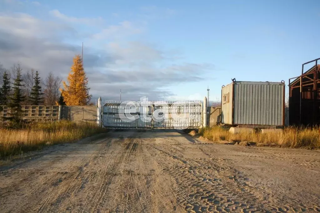 Склад в Ямало-Ненецкий АО, Новый Уренгой Таежная ул., 125/1 (27000 м) - Фото 2