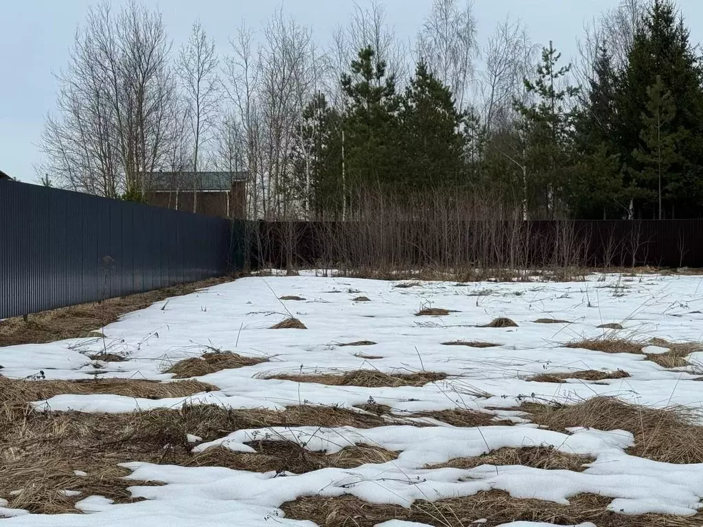 Участок в Московская область, Богородский городской округ, д. Ново  ... - Фото 2