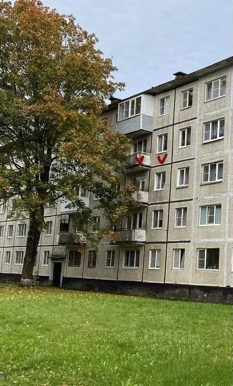 1-к кв. Ленинградская область, Кириши просп. Ленина, 17 (30.0 м) - Фото 1
