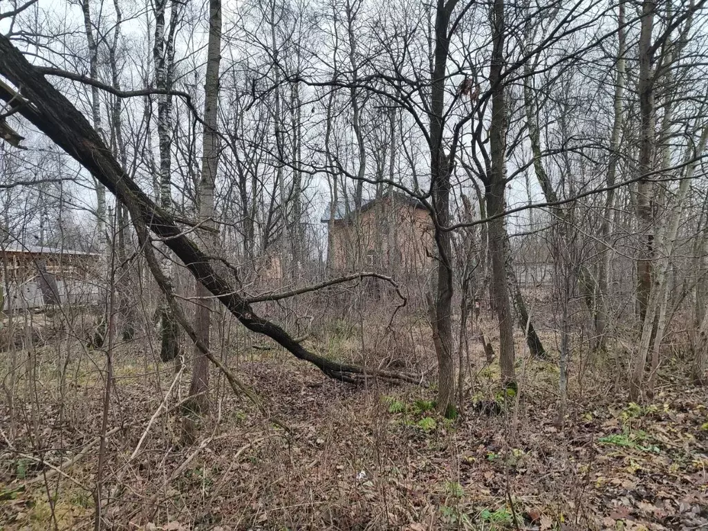 Участок в Московская область, Раменский муниципальный округ, д. ... - Фото 2
