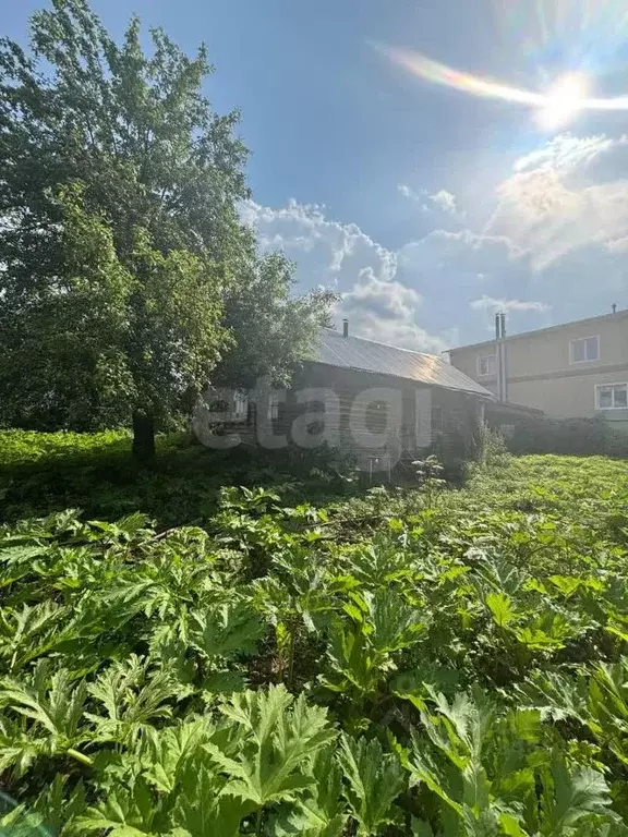 Участок в Москва д. Ворсино, 3 (10.0 сот.) - Фото 1