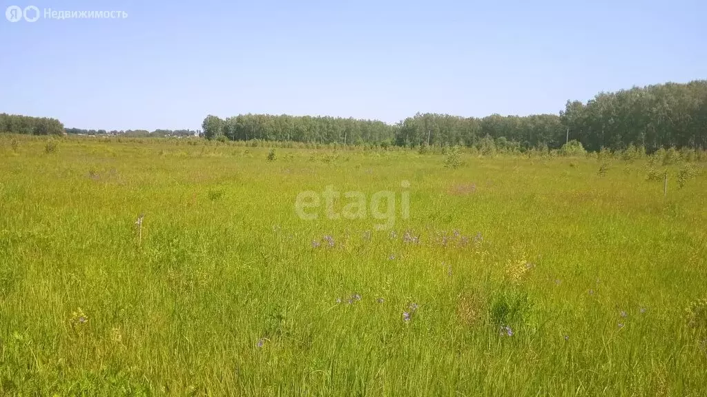Участок в муниципальное образование Паустовское, деревня Болымотиха ... - Фото 1