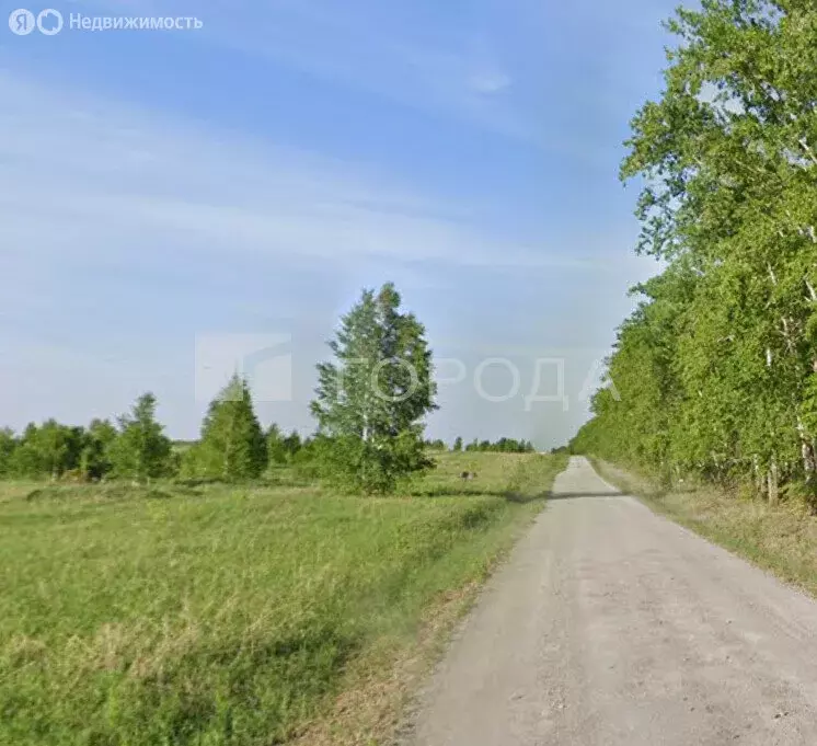 Участок в Новосибирский район, Морской сельсовет, территория СНТ Клён, ... - Фото 1