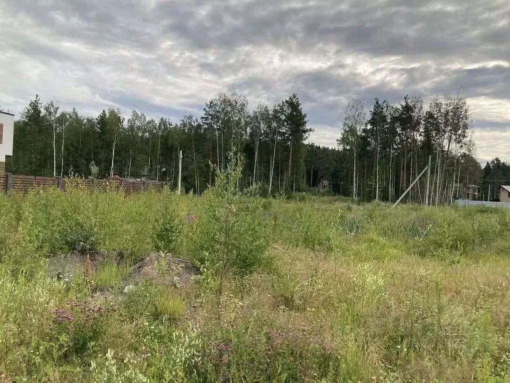 Участок в Санкт-Петербург пос. Парголово, Осиновая Роща исторический ... - Фото 0