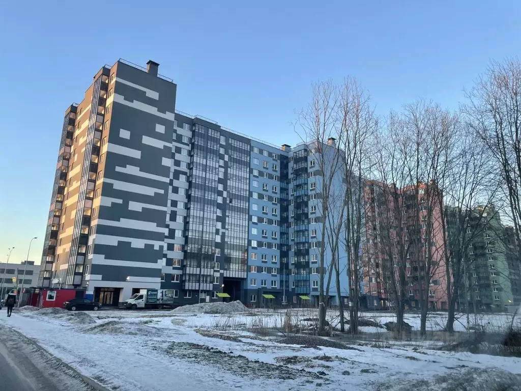 1-к кв. Санкт-Петербург Пискаревский просп., 165к1 (33.1 м) - Фото 1