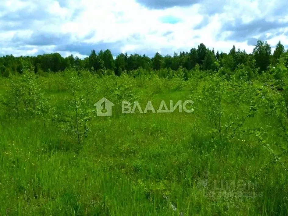 Участок в Калужская область, Боровский муниципальный округ, Совьяки ... - Фото 1