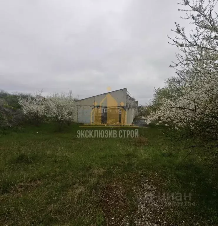 Помещение свободного назначения в Ставропольский край, Предгорный ... - Фото 1