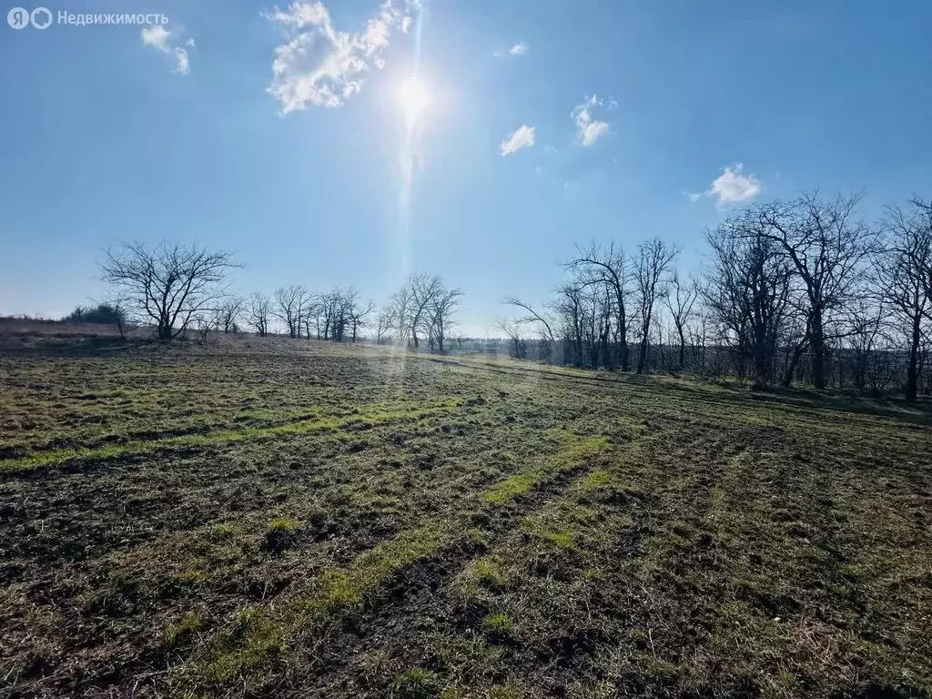 Участок в Симферопольский район, село Донское (361.39 м) - Фото 2