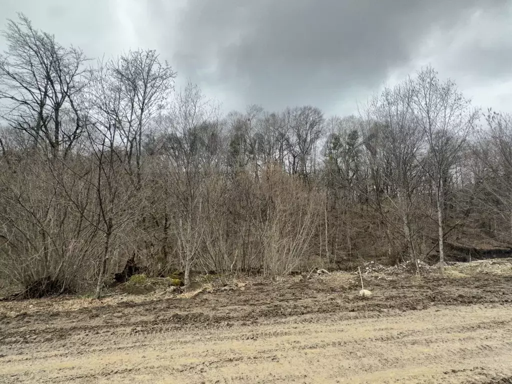 Участок в Адыгея, Майкопский район, Даховское с/пос, с. Хамышки ул. ... - Фото 2