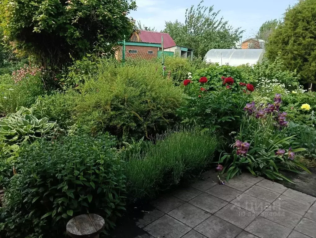 Дом в Самарская область, Ставропольский район, Подстепки с/пос, Чайка ... - Фото 1