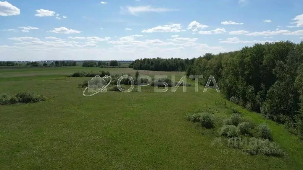 Участок в Тюменская область, Тюменский район, д. Елань ул. Таежная ... - Фото 1