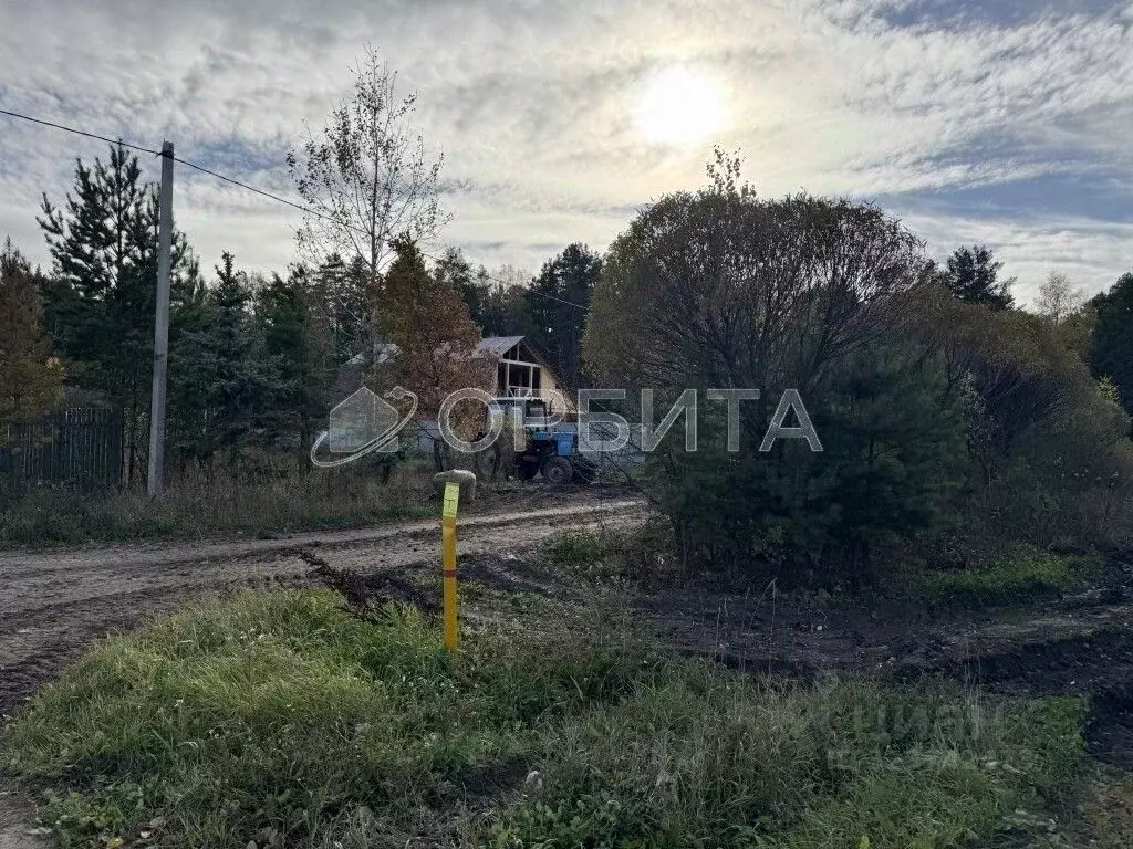 Участок в Тюменская область, Тюменский муниципальный округ, Победа кп  ... - Фото 1