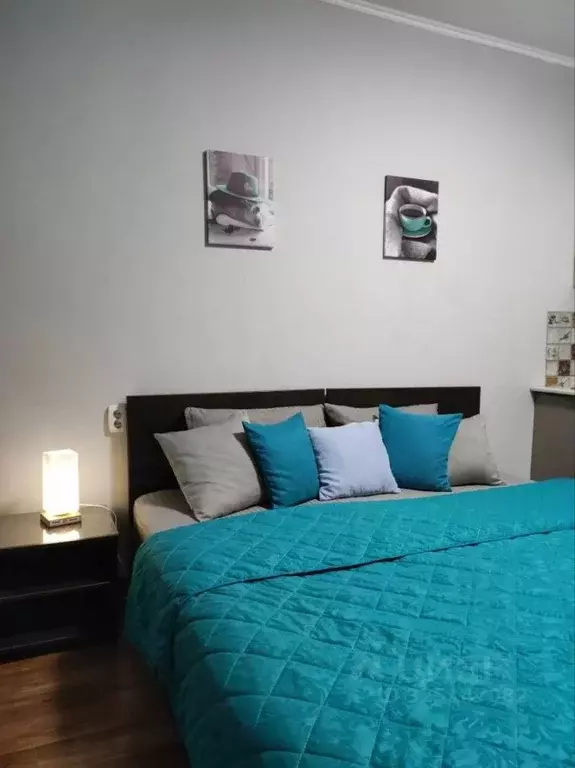 Комната Амурская область, Благовещенск Театральная ул., 199 (21.0 м) - Фото 2