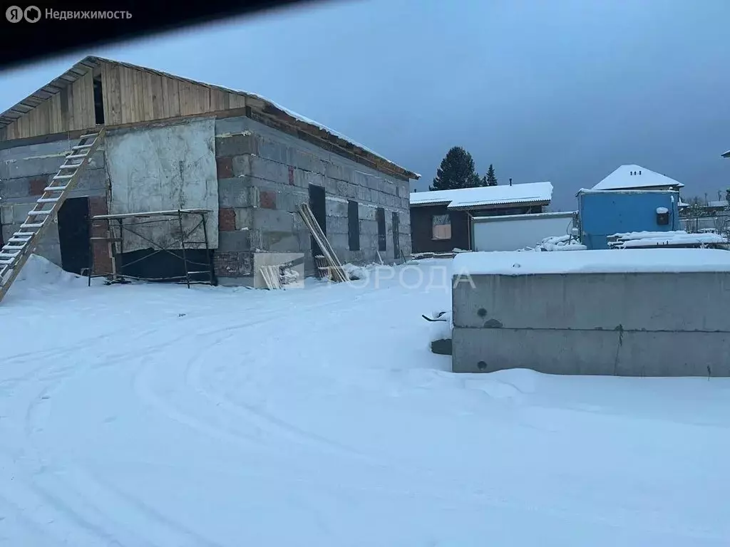 Участок в Новосибирск, СНТ Рассвет (5.6 м) - Фото 1