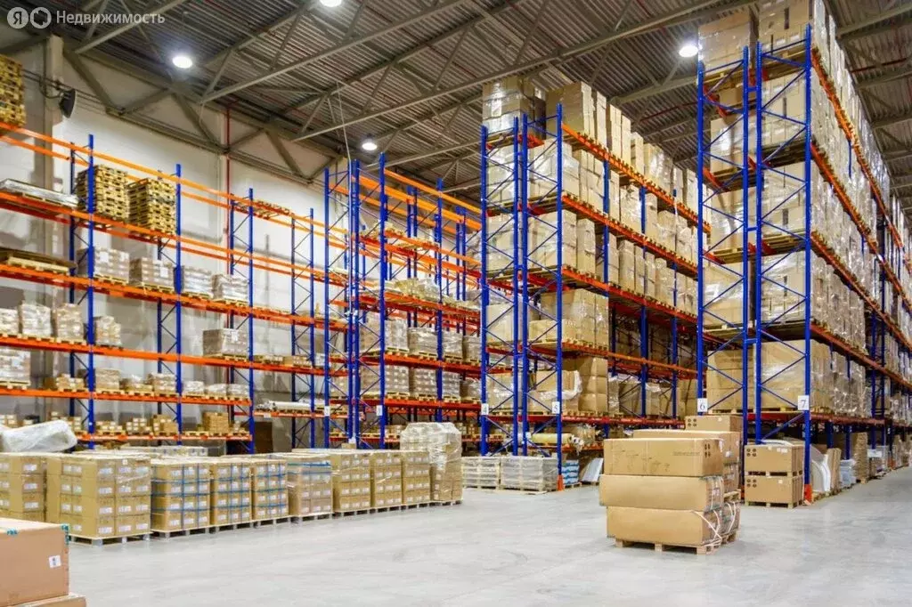 Помещение свободного назначения (860 м) - Фото 2