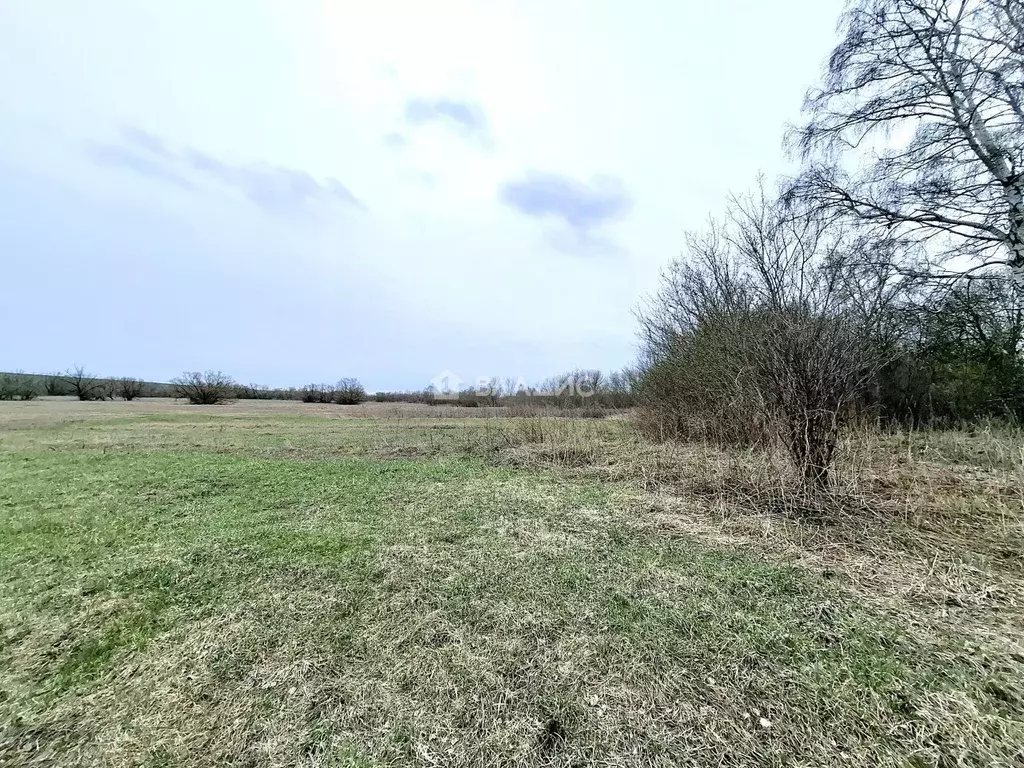 Участок в Пензенская область, Пенза Заря СНТ,  (9.0 сот.) - Фото 1