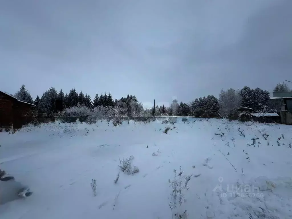 Участок в Омская область, Омский район, с. Усть-Заостровка Береговая ... - Фото 1