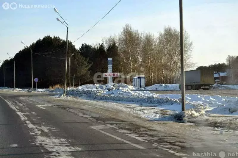 Участок в село Борки, Полевая улица (7.5 м) - Фото 1