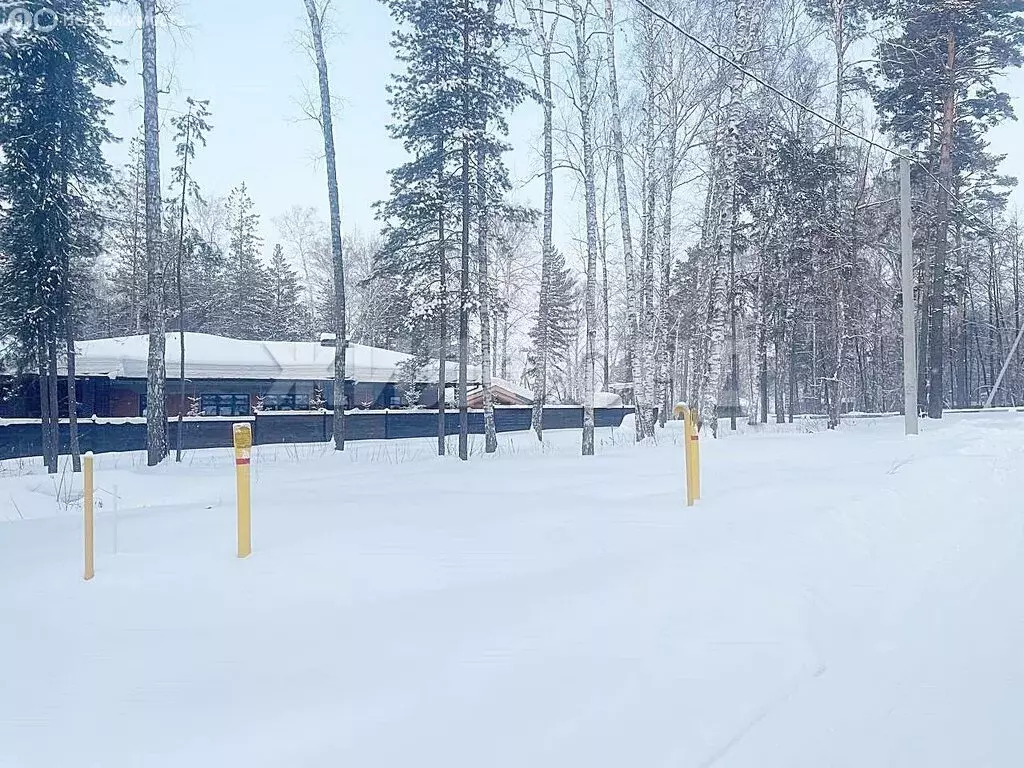 Участок в Новосибирск, Заельцовский район, Лесной переулок (8 м) - Фото 2