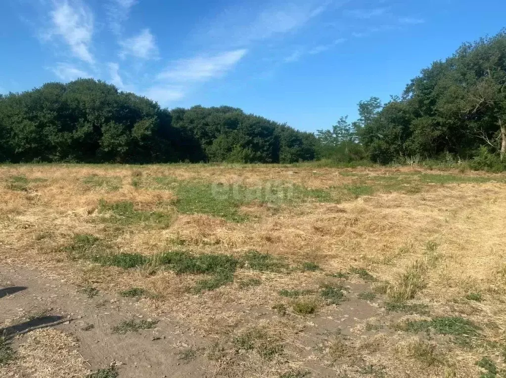 Участок в Ростовская область, Аксайский район, Старочеркасская ст-ца  ... - Фото 1