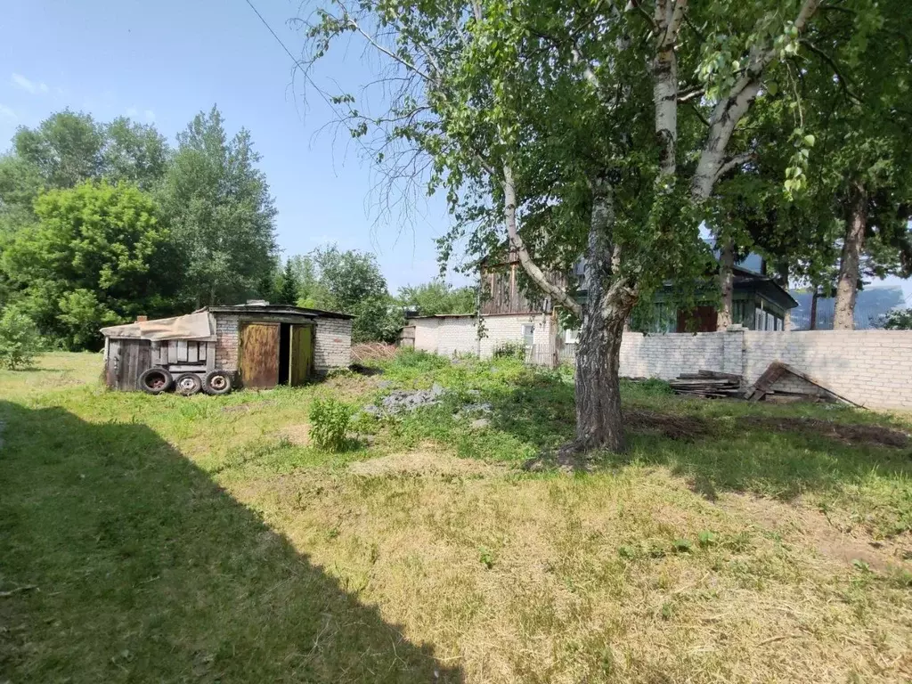 Участок в Алтайский край, Барнаул городской округ, Поселок Борзовая ... - Фото 2