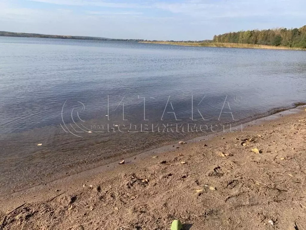 Участок в Ленинградская область, Выборгский район, Полянское с/пос, ... - Фото 2