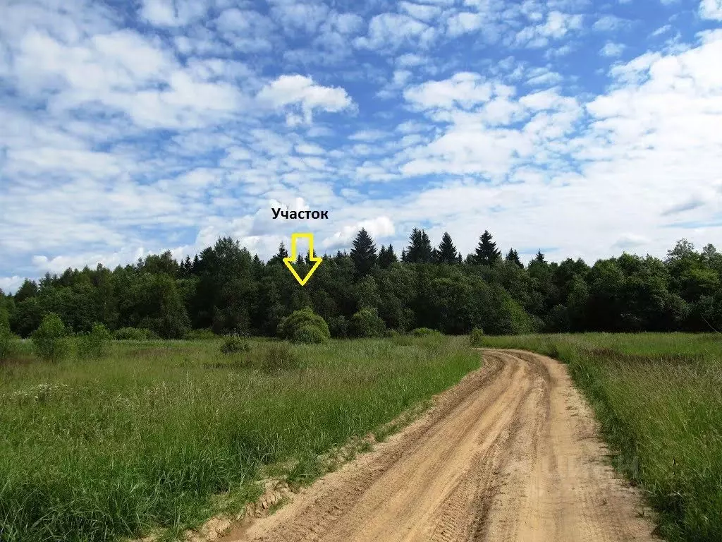 Участок в Тверская область, Кимрский муниципальный округ, д. Одинцово  ... - Фото 1