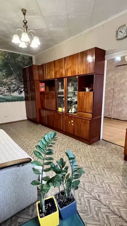 2-к кв. Тверская область, Калининский муниципальный округ, Орша пгт ... - Фото 2