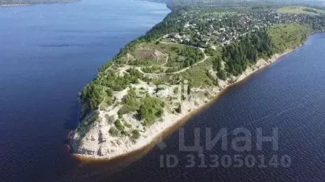 Участок в Пермский край, Добрянский городской округ, д. Залесная  (8.2 ... - Фото 1