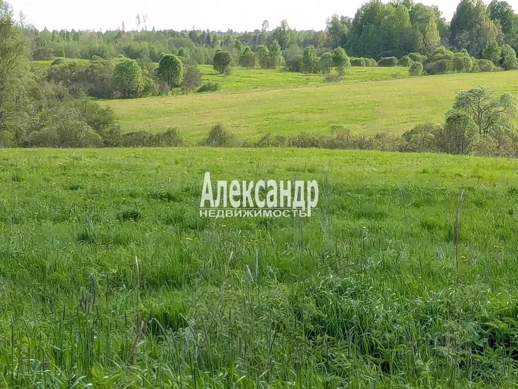 Участок в Карелия, Лахденпохский муниципальный округ, пос. Ханканмяки  ... - Фото 1