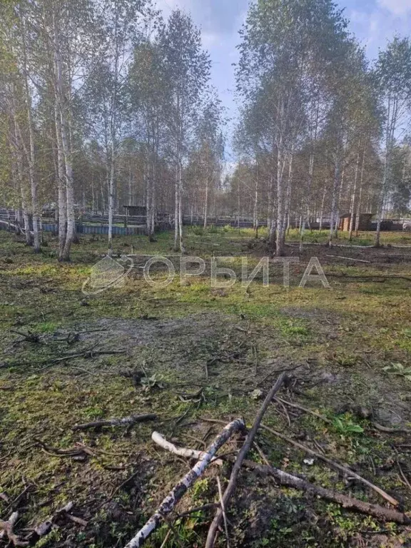 Участок в Тюменская область, Нижнетавдинский район, Строитель ТСН ул. ... - Фото 2